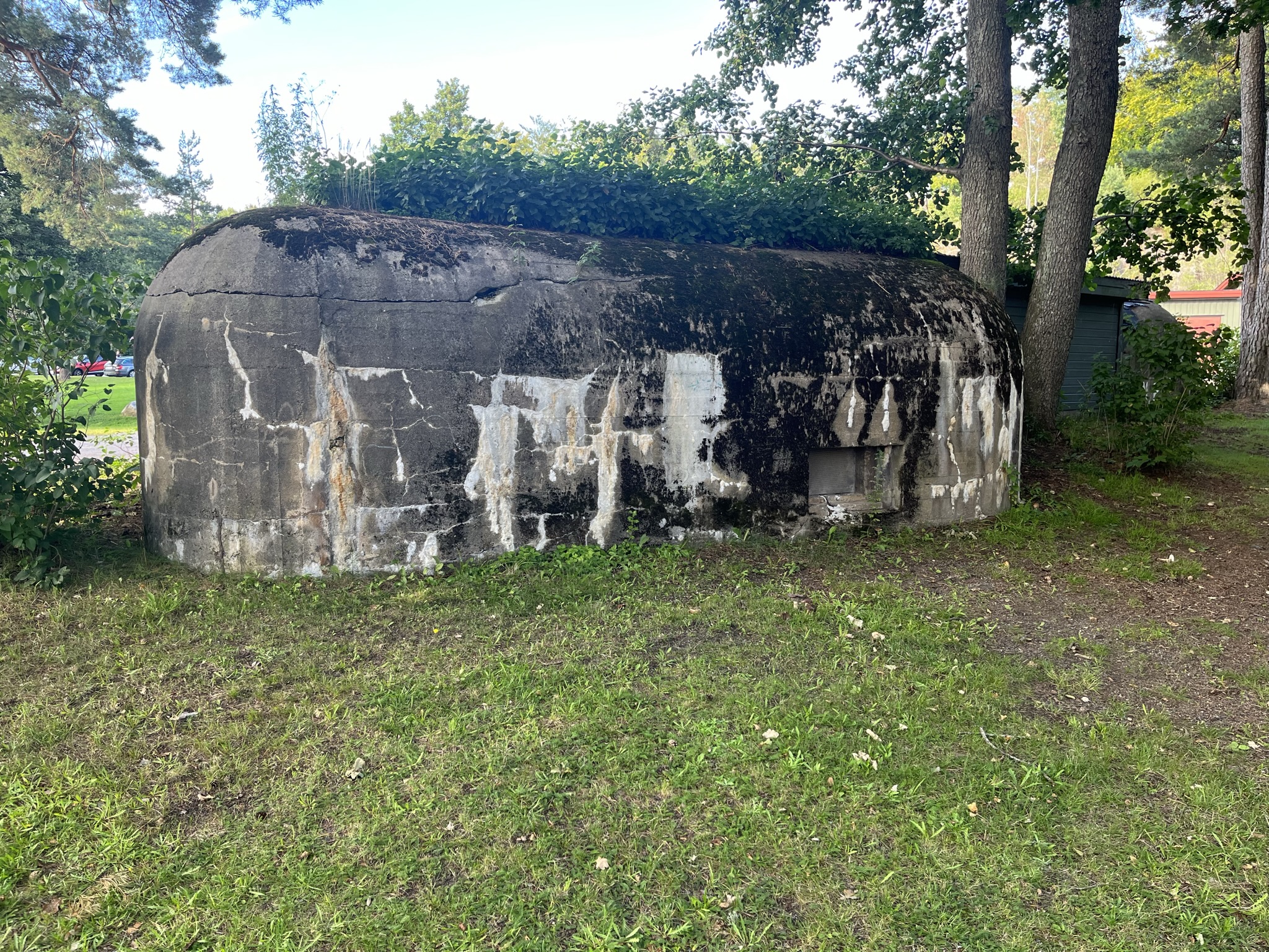IMG_5194.jpeg