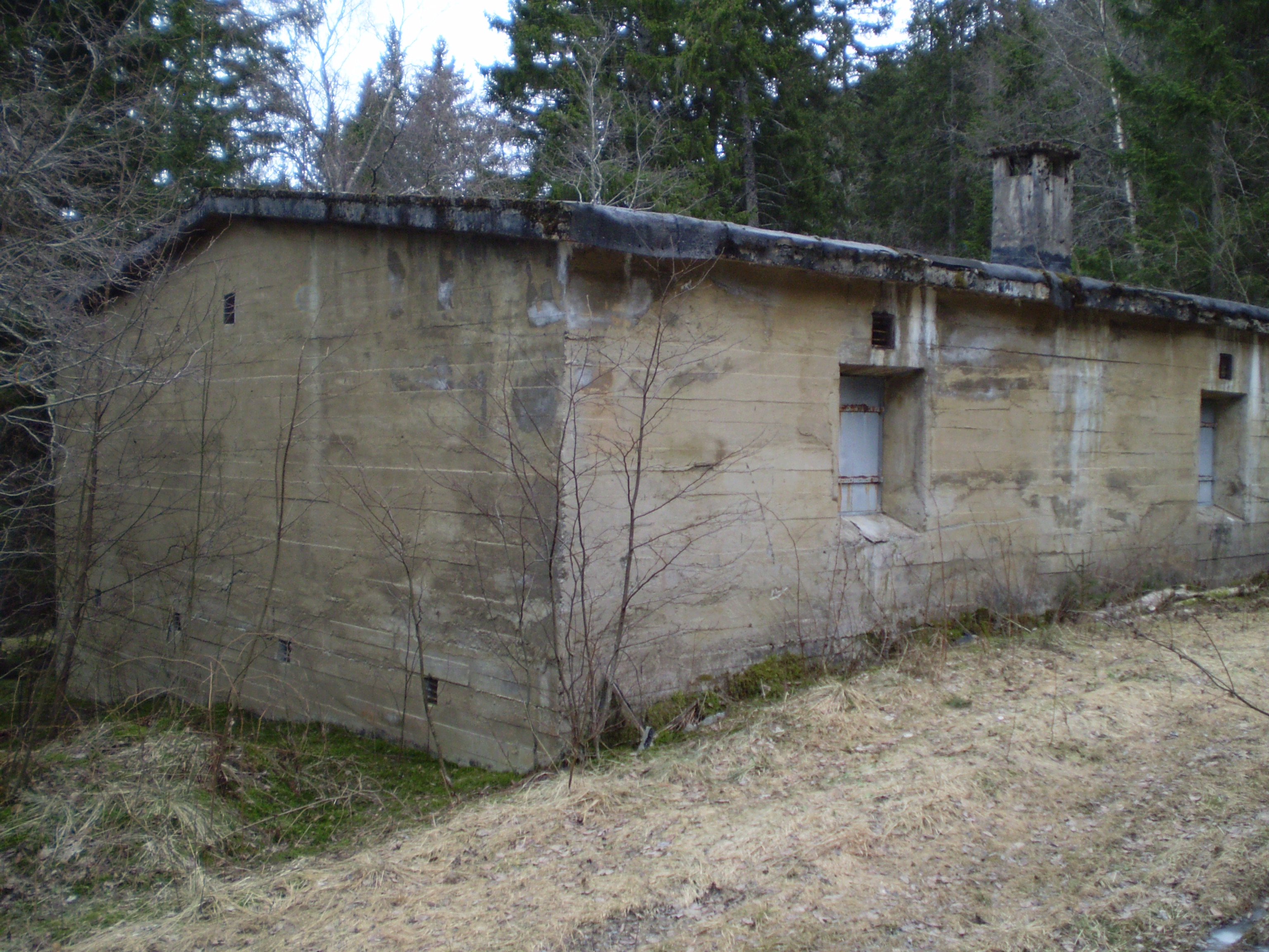 P1060003.JPG