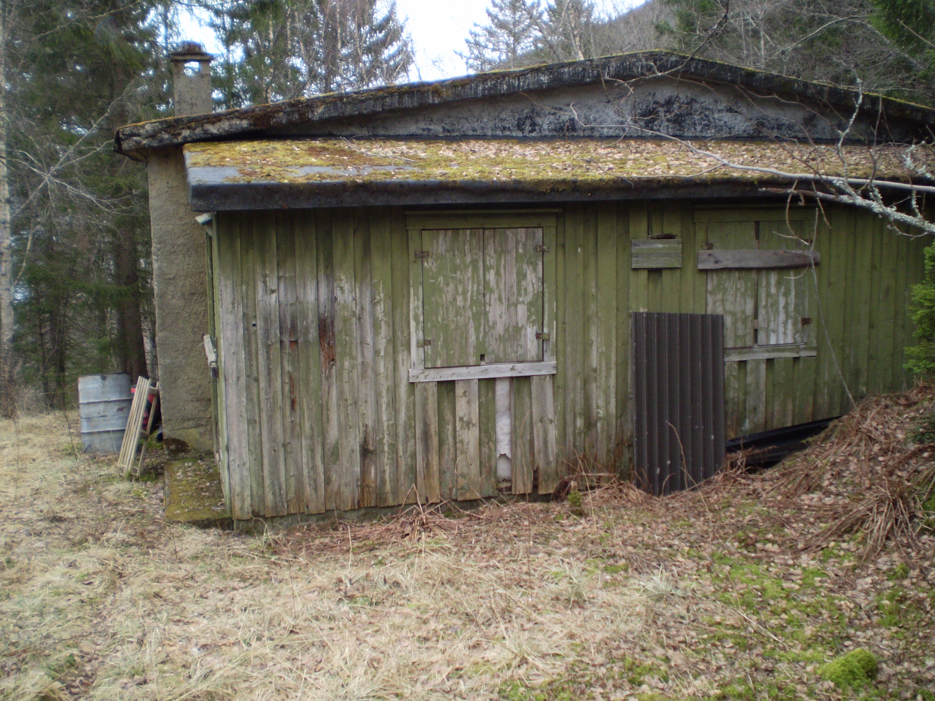P1060011.JPG