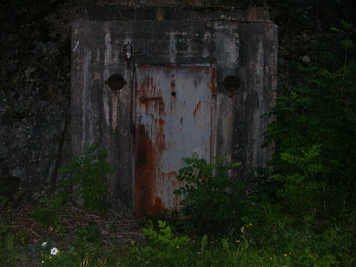 DSCN0668-restr.jpg
