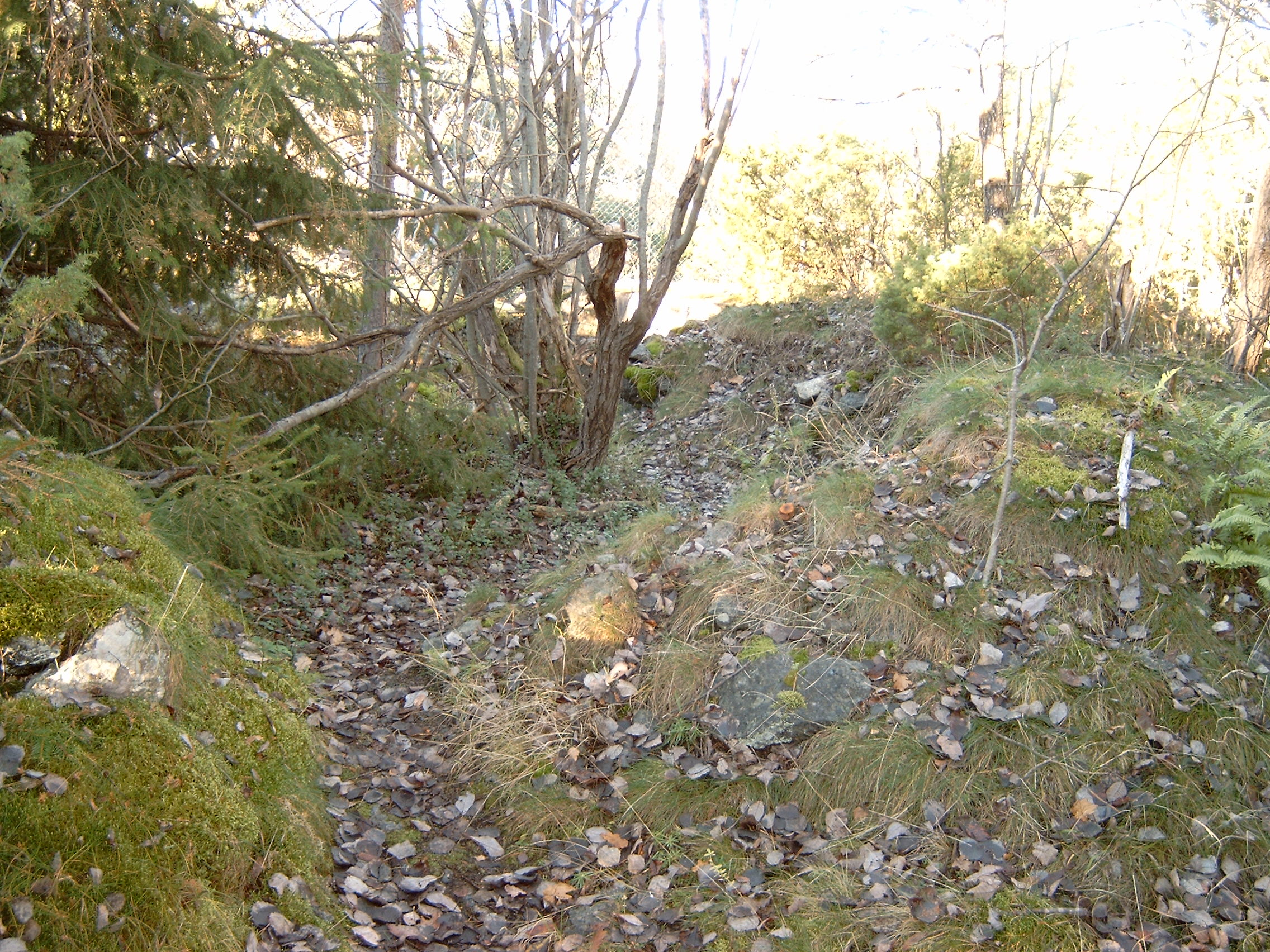 Uferdig jordtilling på veien ut. Det ligger også et lite murhus/bunker rett ved siden av denne.