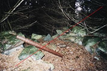 MG stilling med brukket stativ i skogen