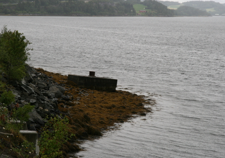 Det ene av 2 ankringspunkt for Tirpitz som kan ses i fjæra. UTM32-posisjon: 7048616 N / 594829 E.