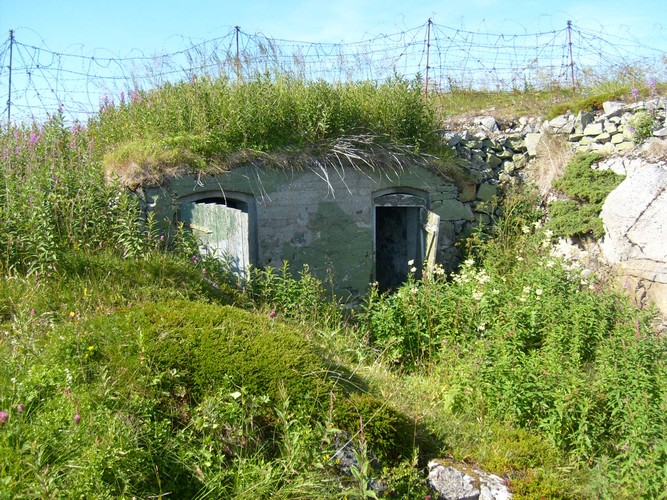 Ammo-bunker .jpg