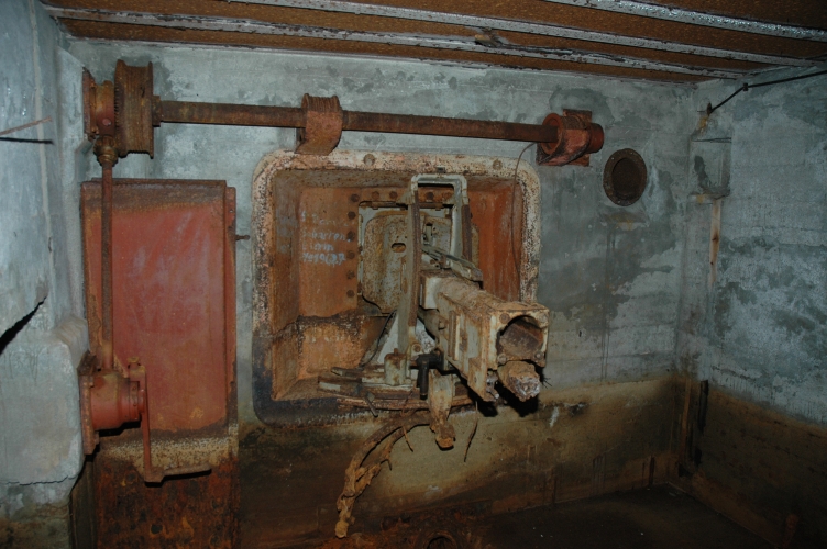 DSC_8554.JPG