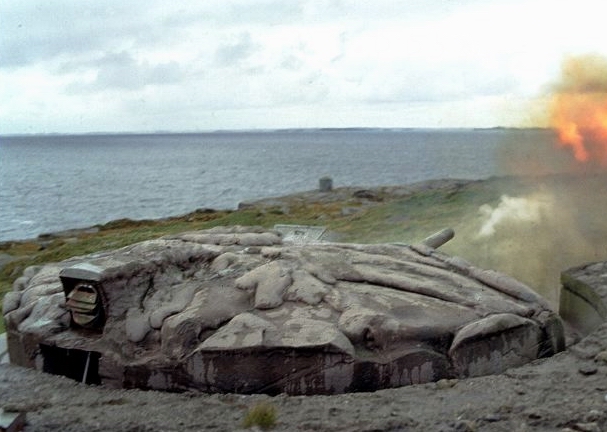 ... og bildet nevnt ovenfor som ser ut som paddeskjold?