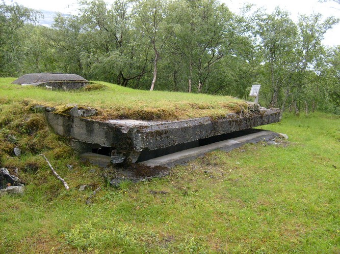 1 267.jpg