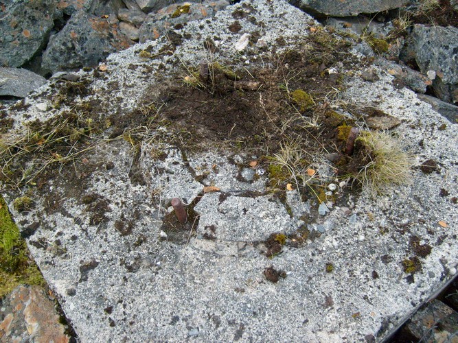 S6304746.jpg