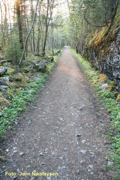 Tønsåasen, veien opp.jpg