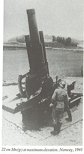 22 cm mrs.jpg