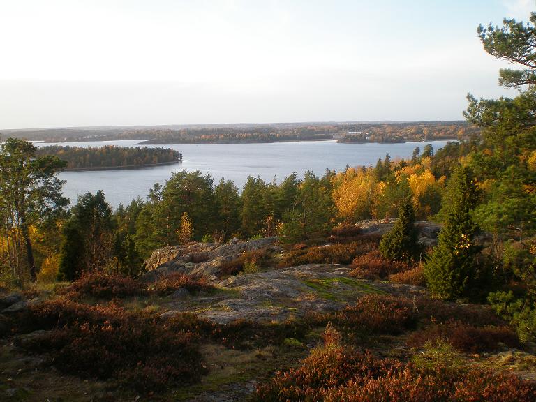 Hösten vid vårdkaseberget.JPG