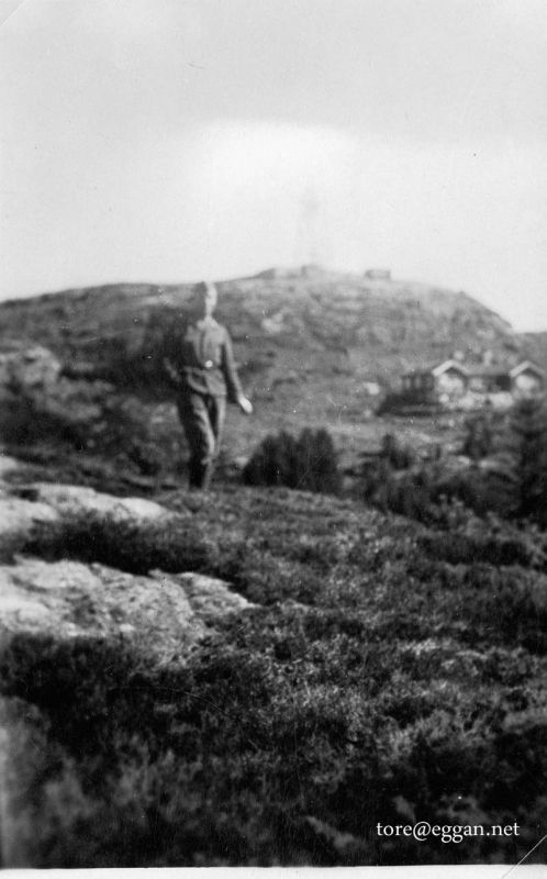 gråkallen 1.jpg
