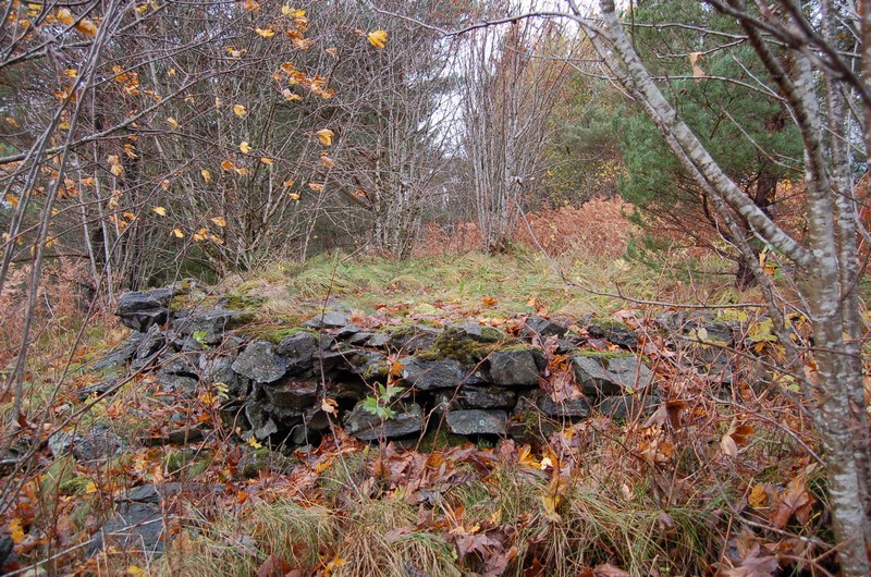 Fundament for lett luftvern/høreapparat?