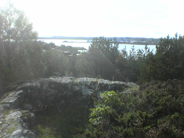 DSC00646.JPG