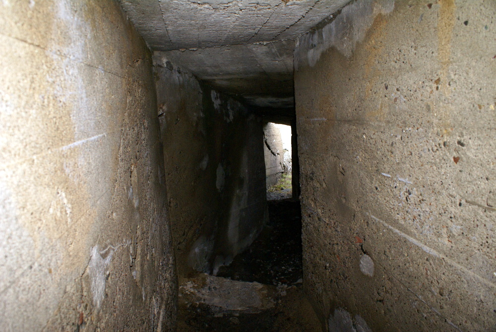 DSC08911.JPG