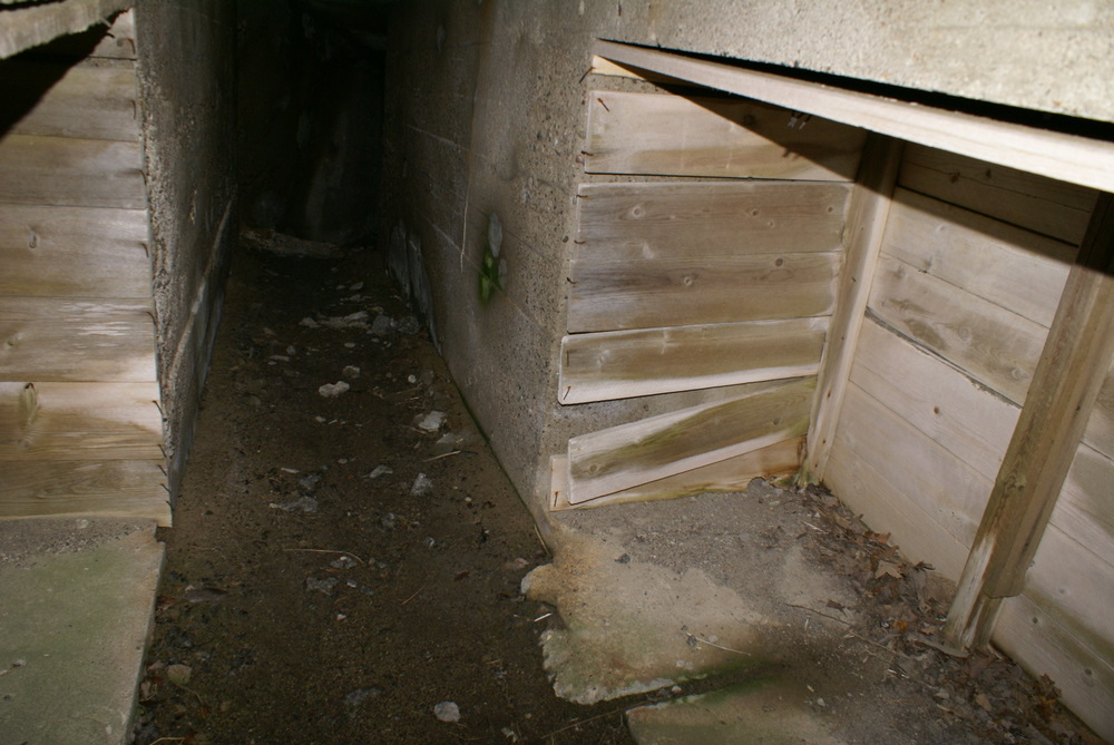 DSC08910.JPG