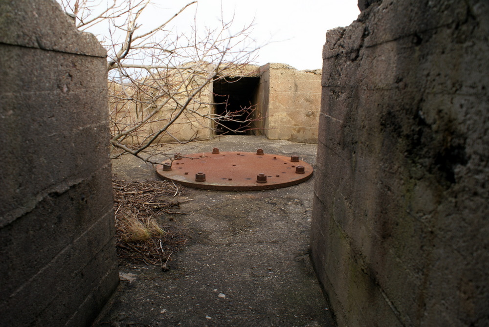 DSC08908.JPG