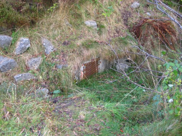 Bak 15cm stillingen på bildet over så lå det 2 bunkere. Her ser vi litt av den ene, som var en ammunisjonsbunker nede i bakken.