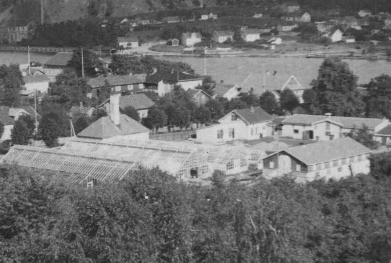 svelvik8_800_169.jpg