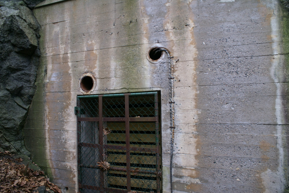 DSC09258.JPG